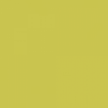 COLOR ONE WAA19454 желто-зел.