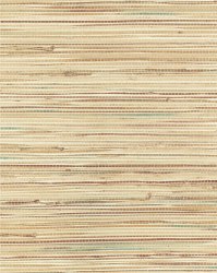 САЛIЧЕ БРАУН