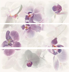 DEC SET SEDUCTION PURPURA NEGRO декор3