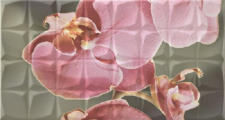 DEC ORCHID B RSA декор