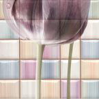 DE FRAME C MIX декор