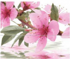 DEC SAKURA пано з 2-х плиток