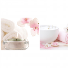 DEC BLANCO SPA-3 декор