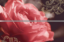 VANITY WHITE DEC GRANDIFLORA RED декор2