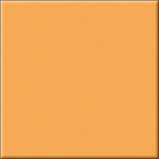 MONTANA ORANGE