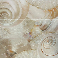 DEC CARACOLAS NACAR декор3