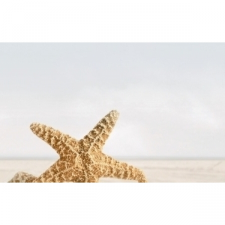 SUMMER STONE БЕЖЕВЫЙ декор В41331