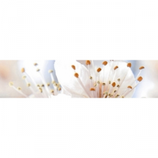 SAKURA БЕЖЕВЫЙ фриз В61351
