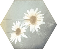 MOD TOSCANA ACUARELAS 004