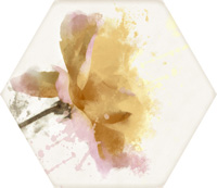 MOD TOSCANA ACUARELAS 011