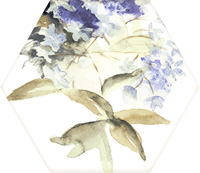 MOD TOSCANA ACUARELAS 015