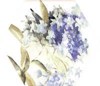 MOD TOSCANA ACUARELAS 021