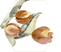 MOD TOSCANA ACUARELAS 035