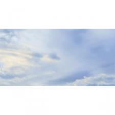 CREMA MARFIL БЕЖЕВЫЙ H51451 декор