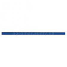 GLASS COBALT BORD фриз