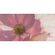 INS STONE ROSE FLOWER A декор
