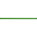 GLASS LIGHT GREEN BORDER NEW фрiз