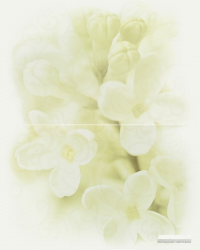 DEC ANDREA FLOWER декор2_