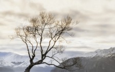 WANAKA БЕЖЕВЫЙ 171331 декор
