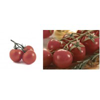 MEDOC TOMATOES декор