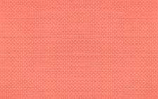 VIOLETA РОЖЕВА