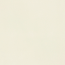WHITE POL BP6002