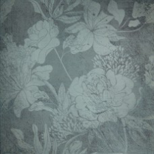 ZWXAL83D ROCHESTER 2