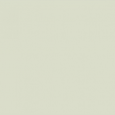 BEIGE POL PA6600