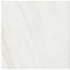00PRW310 PRECIOUSWALL STATUARIO PAV
