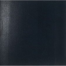 TWT-98LR DARK LAPP RETT