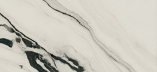 PAN WH6 260 LP