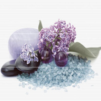 COMP SPA AMA декор3