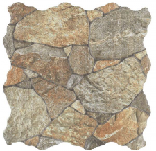 PT11498 TAPIA CANALES