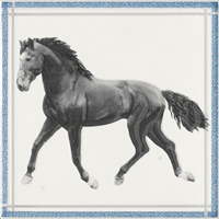 DECOR ROCINANTE BLANCO декор