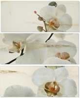 DEC SET ORQUIDEA/ONICE декор3