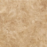 JERTE NUEZ (KASSANDRA)