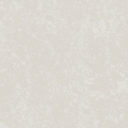 EQUINOX WHITE